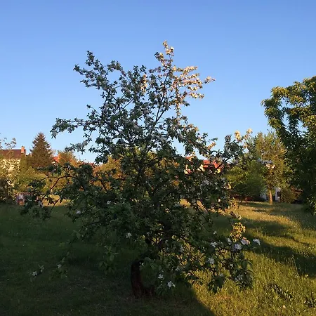 Pajdos Apartmanhaz